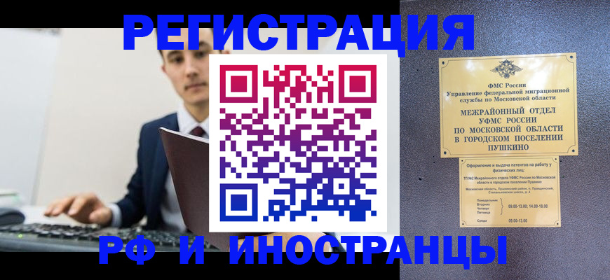 прописка поиск в Сертолово